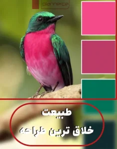 طراحی با الهام از طبیعت