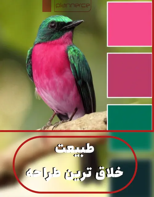 طراحی با الهام از طبیعت