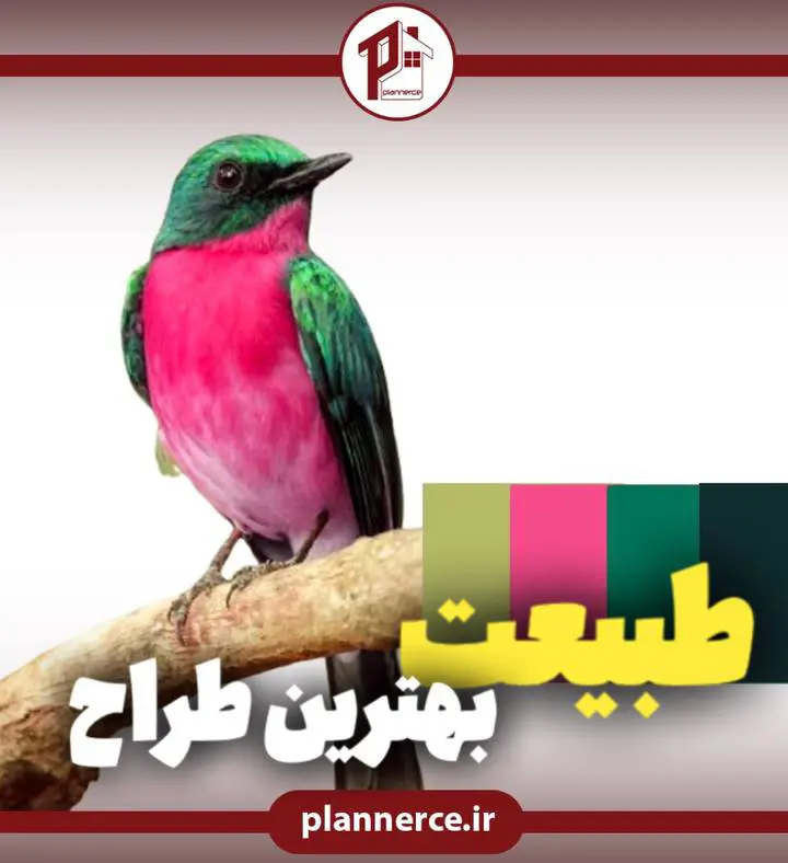 طبیعت بهترین طراح